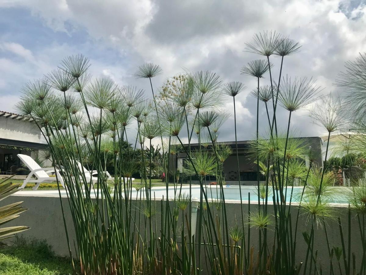 Torcaza Casa De Campo 킴바야 외부 사진